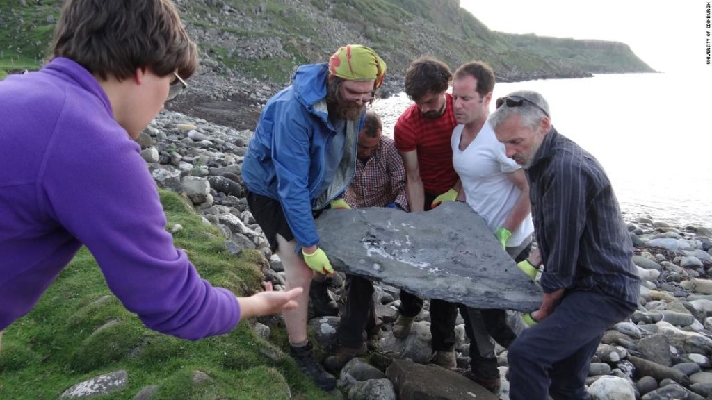 Fossil eines riesigen fliegenden Reptils, das auf einer schottischen Insel gefunden wurde